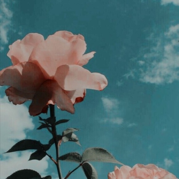 Meet the Posher Other - Meet your Posher, Gabriella